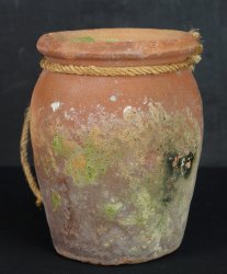 Takotsubo hart shape 1900