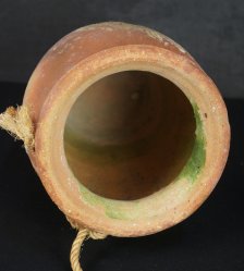 Takotsubo hart shape 1900