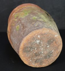 Takotsubo hart shape 1900