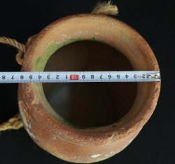 Takotsubo hart shape 1900