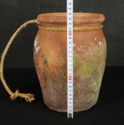 Takotsubo hart shape 1900