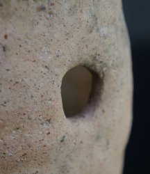 Takotsubo Minimalsit 1700