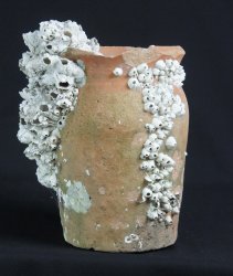 Takotsubo octopus 1800 Edo vase