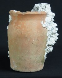 Takotsubo octopus 1800 Edo vase