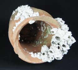 Takotsubo octopus 1800 Edo vase