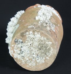 Takotsubo octopus 1800 Edo vase