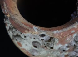 Takotsubo rural tool 1800