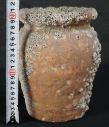 Takotsubo vase antique 1800