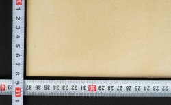 Tamiji Kitagawa 1977