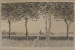 Tanaka Ryohei 1978
