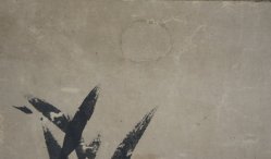 Tani Buncho Tora 1800