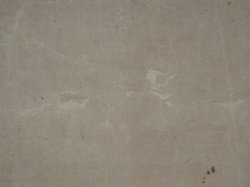 Tani Buncho Tora 1800