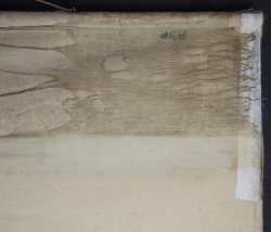 Tani Buncho Tora 1800