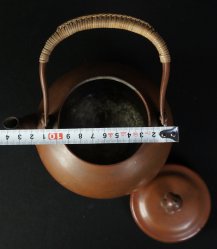 Tea Yakan Sencha 1900
