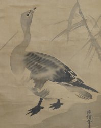 Tokinobu geese 1700