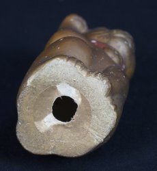 Tokyo lucky Neko 1900