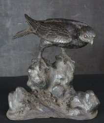 Tombi hawk 1900 bronze