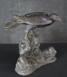 Tombi hawk 1900 bronze