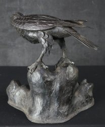 Tombi hawk 1900 bronze