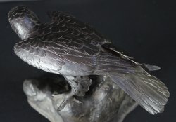 Tombi hawk 1900 bronze