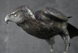 Tombi hawk 1900 bronze