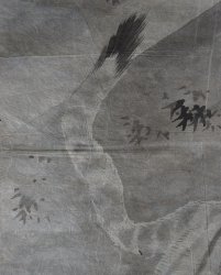 Tora Taiji 1800