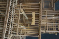 Torikago bird bamboo cage 1950