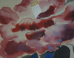 Tsubaki camellia 1980