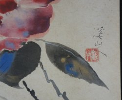Tsubaki camellia 1980