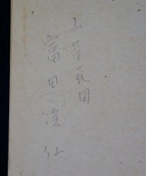 Tsubaki camellia 1980