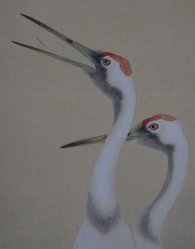 Tsuru birds Kakemono 1900