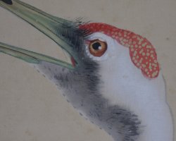 Tsuru birds Kakemono 1900