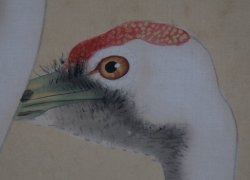 Tsuru birds Kakemono 1900