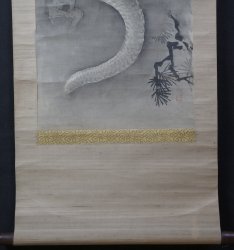 Typhoon Dragon 1880