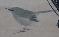 Uguisu bird 1960