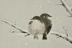 Uguisu birds 1980