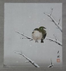 Uguisu birds 1980
