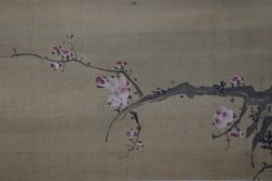 Ume-Taka Tadashi Kiyasu 1700