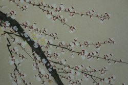 Ume-tori 1970s