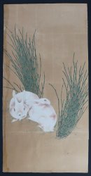 Usagi Japan rabbit 1880