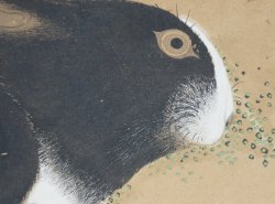 Usagi Japan rabbit 1880