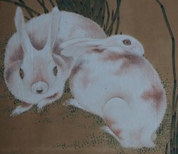 Usagi Japan rabbit 1880