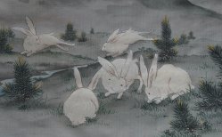 Usagi rabbits 1900