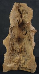 Wabisabi abstract wood 1950s