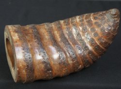 Wabisabi Bamboo wall vase 1970
