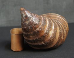 Wabisabi Bamboo wall vase 1970
