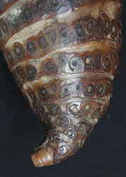 Wabisabi Bamboo wall vase 1970