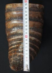 Wabisabi Bamboo wall vase 1970