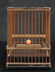 Wabisabi bird 1900