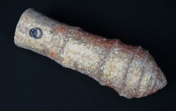 Wabisabi Mie Kiln 1970